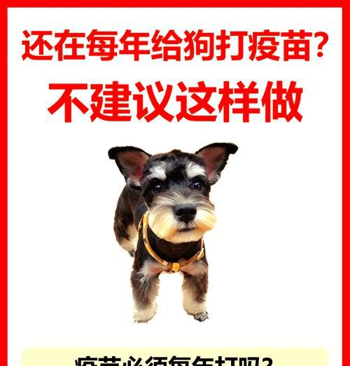 小狗打针的最佳时间是什么时候？（多久给小狗打针合适？如何安排疫苗接种计划？）