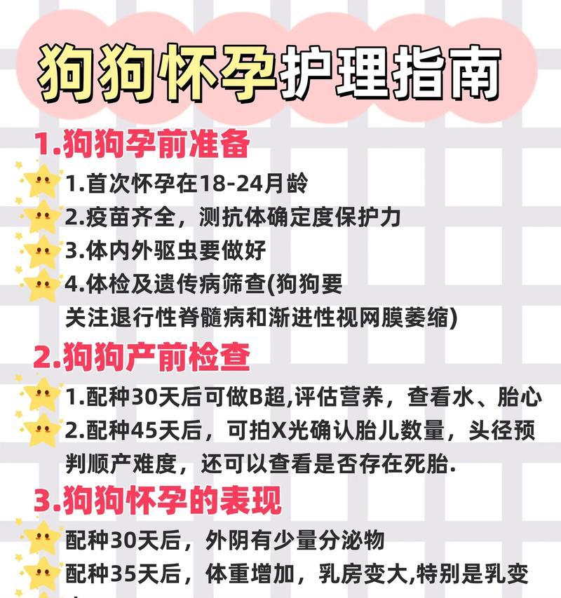 狗狗分娩（揭开狗狗分娩的神秘面纱，了解分娩时间和过程）