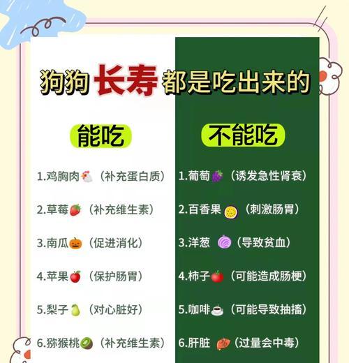 改善狗狗毛发问题的食物（食用这些食物，让你的狗狗拥有健康亮丽的毛发）