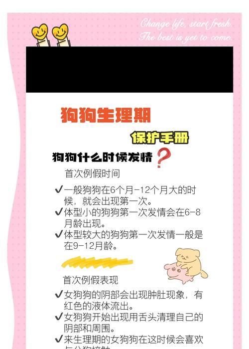 狗狗的生理期（狗狗的大姨妈到底什么时候来？如何应对？）
