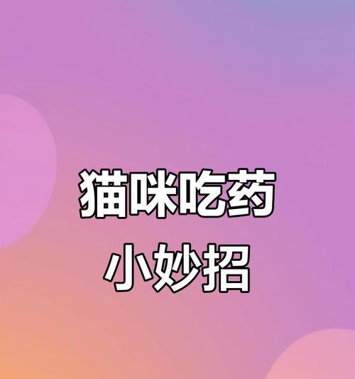 喂药技巧（掌握喂药的小窍门，让你和猫咪都轻松愉快）