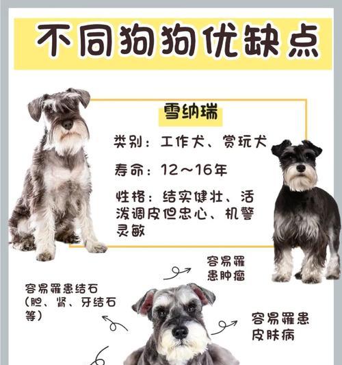 纠正德牧狗狗的不良行为（方法和技巧让你的德牧狗乖乖听话）