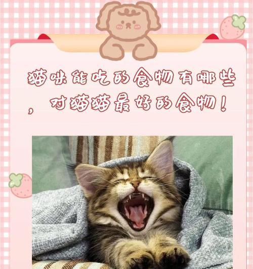 猫手术后恢复期饮食时间（了解猫咪术后进食时间的关键因素与注意事项）