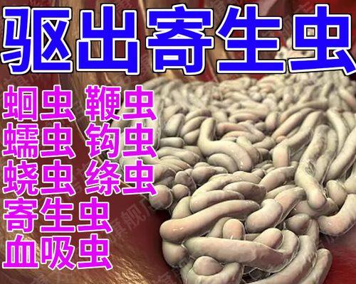 吃饭后多久可以服用打虫药？（了解正确的时间间隔及注意事项）