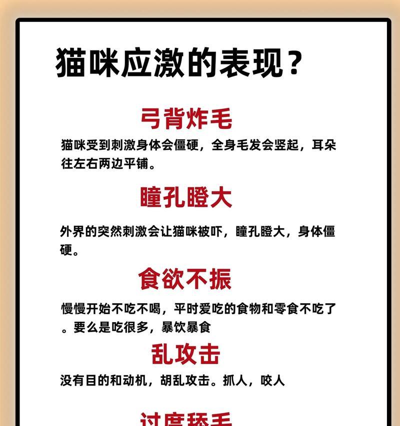 猫的应急周期及其重要性（猫的生理和行为表现，应急响应的关键）