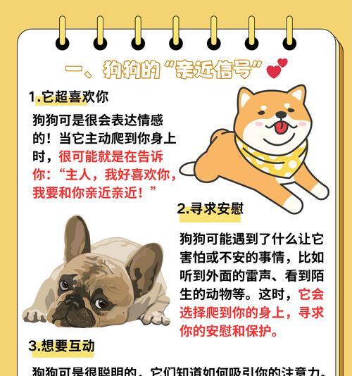 狗狗如何认出主人的秘密？（探究狗狗与主人的情感连接和识别方式）