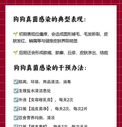 狗狗频繁挠自己是患上脂溢性皮炎的原因吗？（探究脂溢性皮炎的症状和治疗方法）
