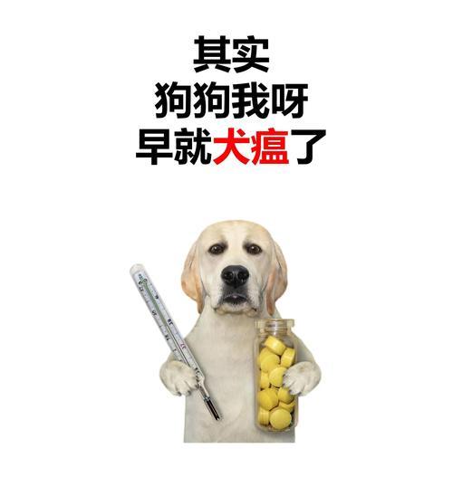 狗瘟病毒未消毒多久可养狗？（-狗瘟病毒、消毒、养狗）