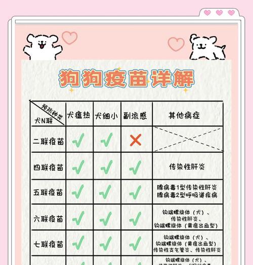狗狗疫苗接种的注意事项（保护宠物健康，预防疾病的关键）