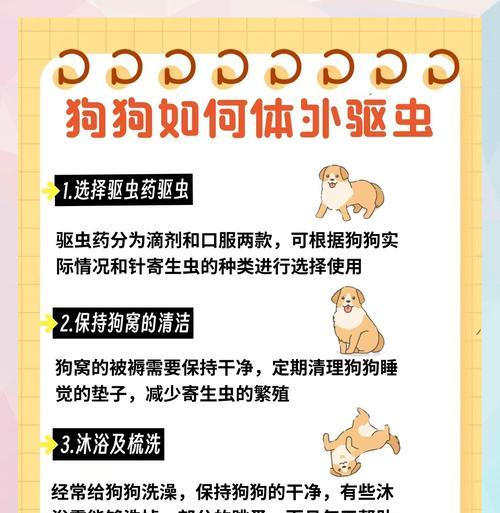 狗的驱虫周期及重要性（了解驱虫周期，守护狗狗健康）