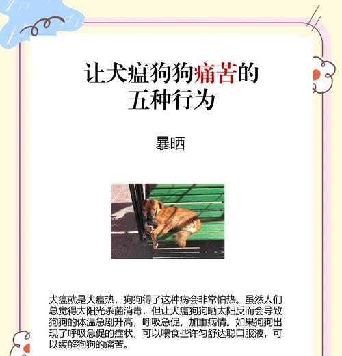 犬瘟死亡期（犬瘟病毒所致死亡期的长短与关键因素）