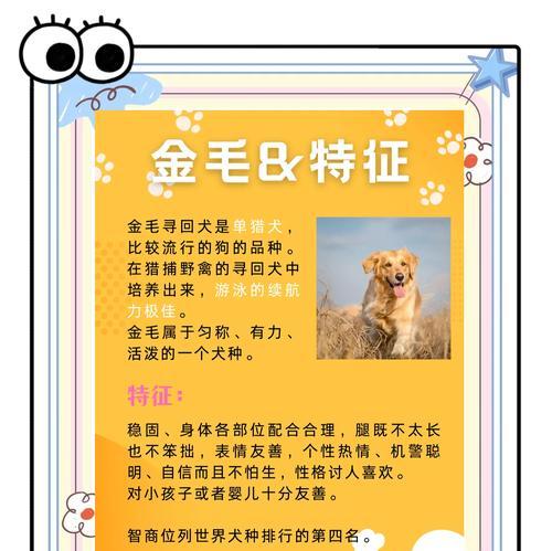 金毛掉毛周期及掉毛量分析（金毛掉毛周期的长短与饮食、季节等因素有关）