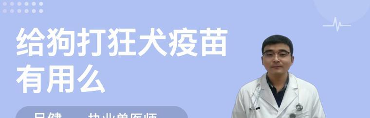 狗狗狂犬疫苗接种时间探究（为你的狗狗提供最佳的疫苗保护）