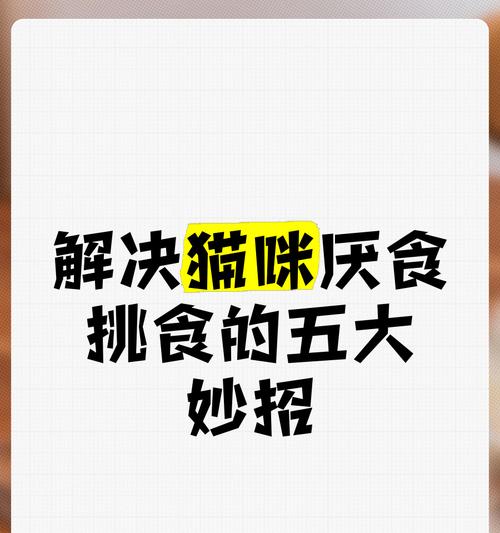 猫咪为什么会厌食？-探讨不同生命阶段猫咪厌食的原因（不同阶段猫咪食欲低落的诱因与解决方法）