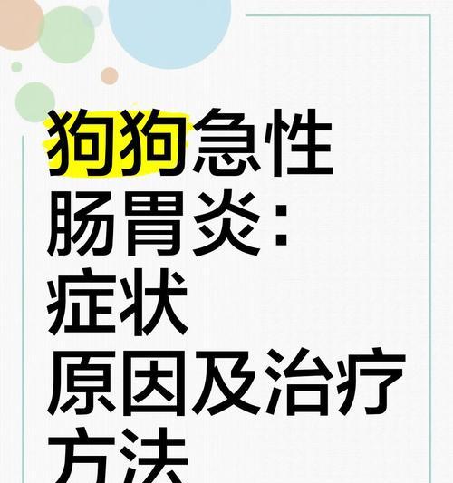 狗狗急性肠胃炎的治疗方案（了解肚子咕噜响声的原因和治疗方法）