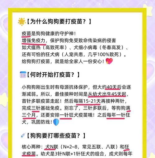 小狗健康护理（宠物狗保持健康的必要条件）