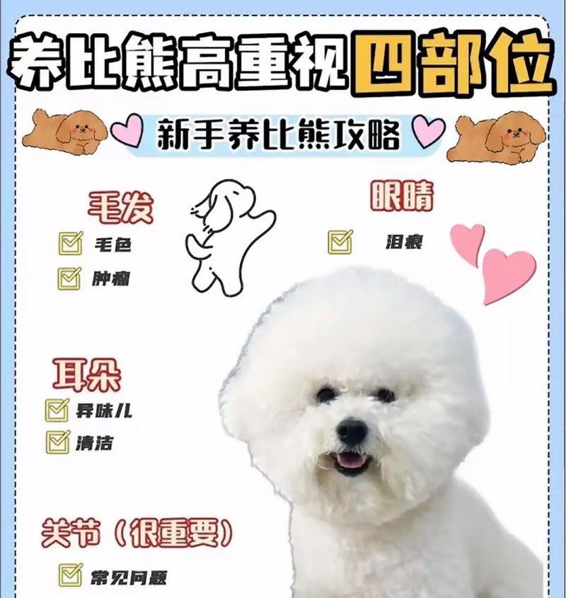 探索下垂耳狗的独特魅力（揭秘下垂耳狗的演化历程及品种特点）