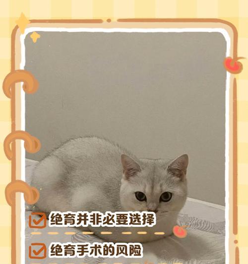 猫咪绝育手术后多久不疼？（解答关于猫咪绝育手术疼痛期限的常见问题）