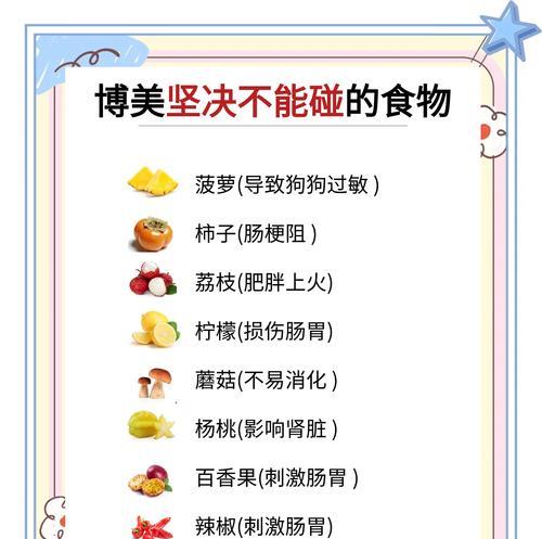 养博美犬的15个禁忌事项（如何正确饲养博美犬）