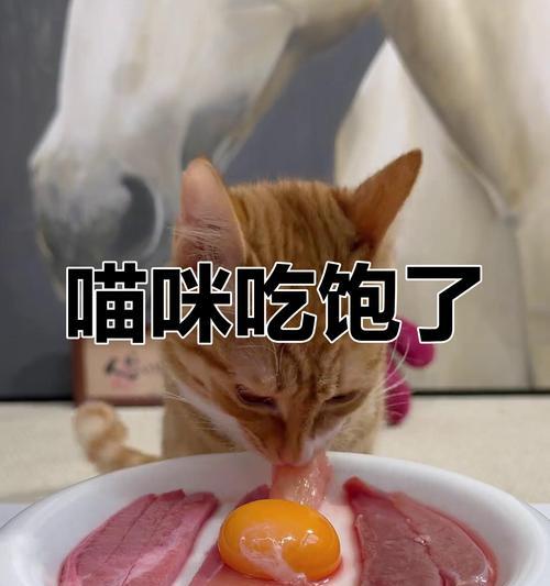 猫咪何时可以食用肉类？（探讨猫咪食用肉类的适宜时间和注意事项）