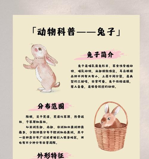 兔子的哺乳期持续时间及喂奶频率（了解兔子哺乳期的关键信息）