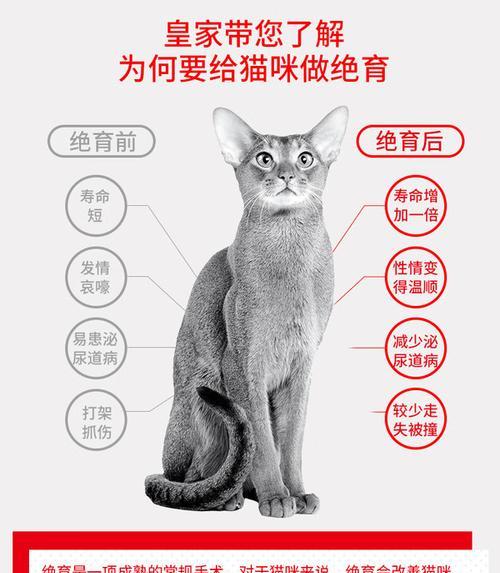 绝育猫粮需要持续多久？（绝育猫粮的时间安排和注意事项）