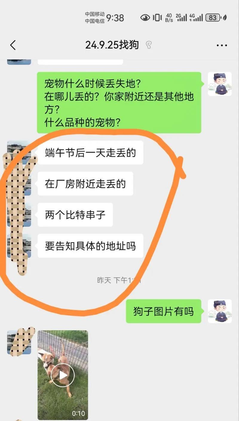 如何防止狗狗走丢（有效的方法保护你的爱犬，避免丢失的困扰）