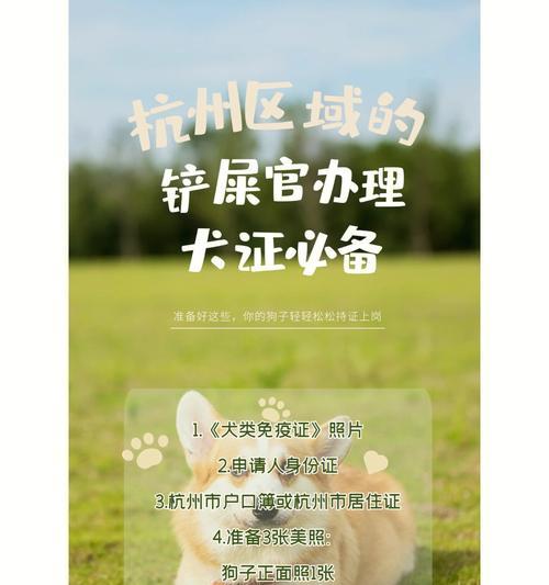 狗狗吃通草后多久有效？（了解通草对狗狗的作用及使用时间）