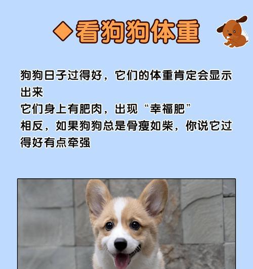 爬行的狗狗是否容易得腰椎病？（预防和治疗腰椎病的有效方法）