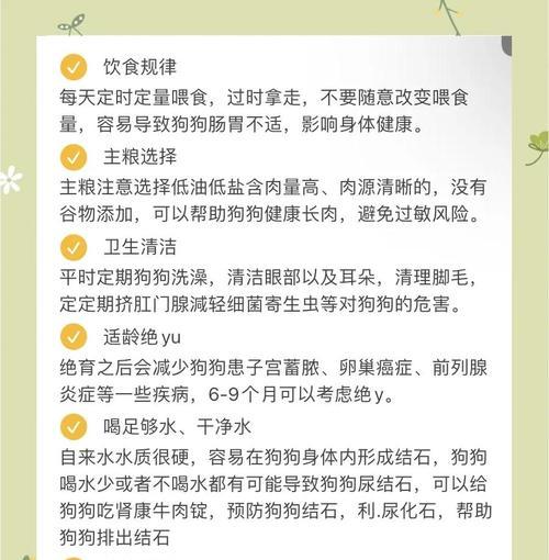 狗狗挤肛门腺的频率与注意事项（科学指导下，掌握狗狗挤肛门腺的最佳时机与方法）