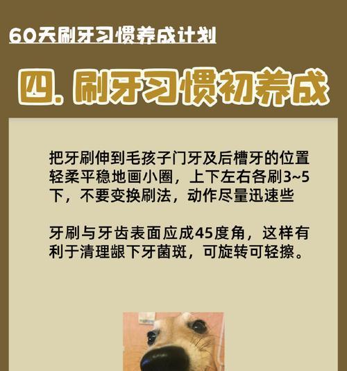 狗口腔疾病的危害及预防方法（宠物狗牙齿健康的重要性）