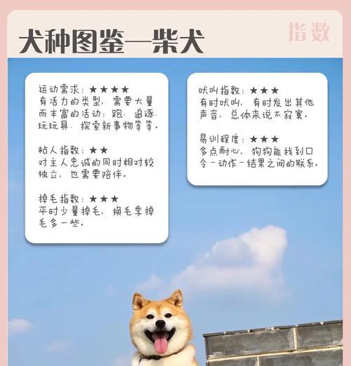 柴犬发腮周期的“大脸”分析（通过了解柴犬发腮周期的特征及重要性）