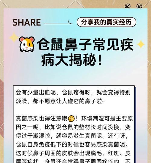 仓鼠常见病症及预防措施（了解仓鼠易患的疾病，保护小宠健康）