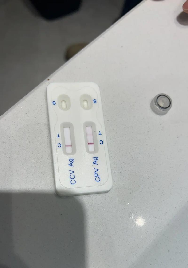 狗狗接种疫苗后的抗体形成时间及注意事项