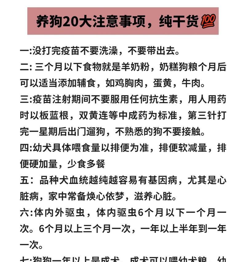养狗新手必看（不同时期的喂养注意事项，让你成为养狗专家）