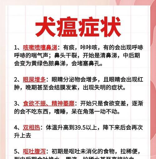 犬瘟热的康复时间和护理知识（了解犬瘟热的康复时间和护理技巧，让爱犬尽早康复）