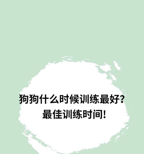 狗狗的成长过程（探索狗狗成长的奇妙旅程）