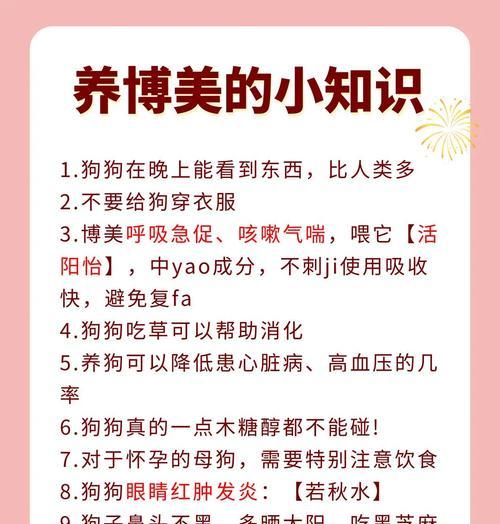 如何正确照顾博美狗狗（宠物狗的幸福生活，由你掌握）