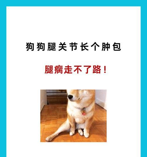 狗脚受伤恢复需要多久？（探究狗脚受伤康复时间的因素和方法）