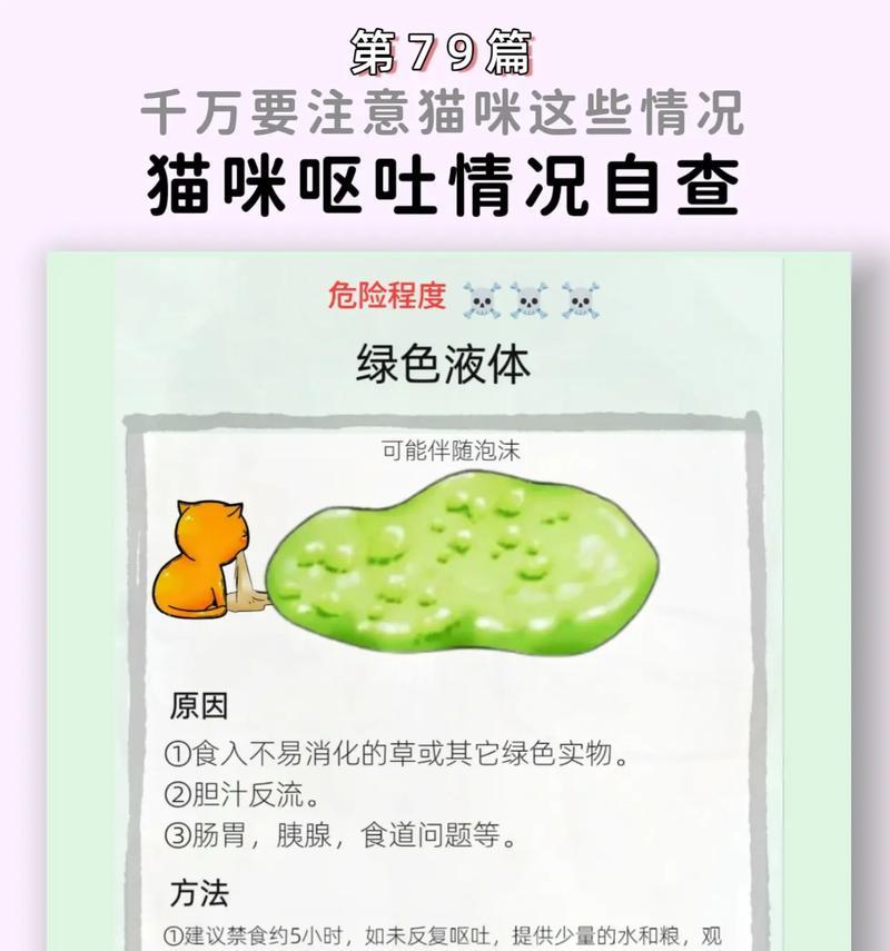 解决猫咪频繁呕吐问题的有效方法（猫咪呕吐原因探究与治疗建议）