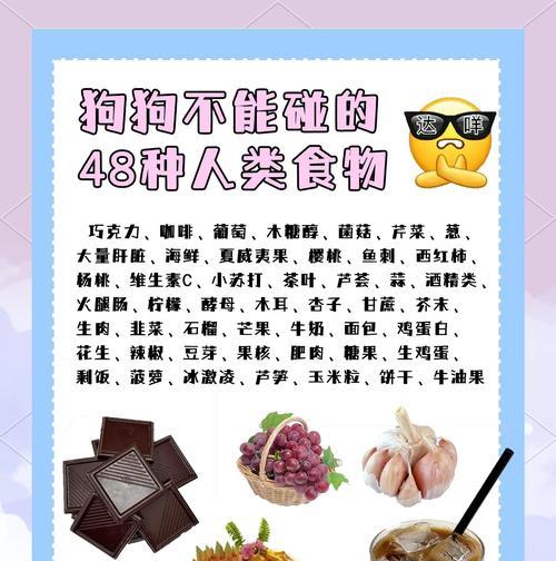 狗狗不能吃的30种食物——重要的警示！（保护你的宠物健康，避免这些危险食物）
