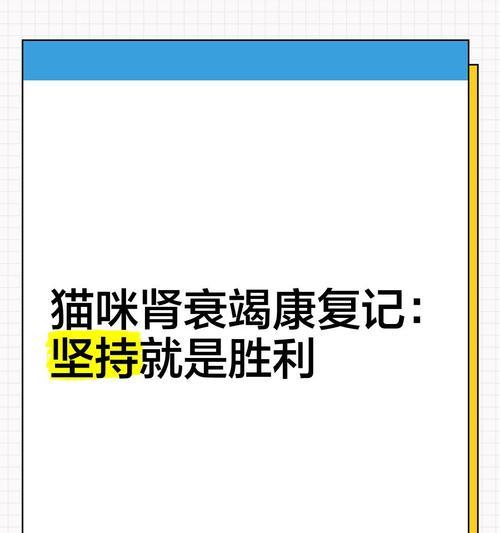 猫肌酐增高的原因及影响（探究导致猫肌酐升高的因素以及其对猫身体的影响）