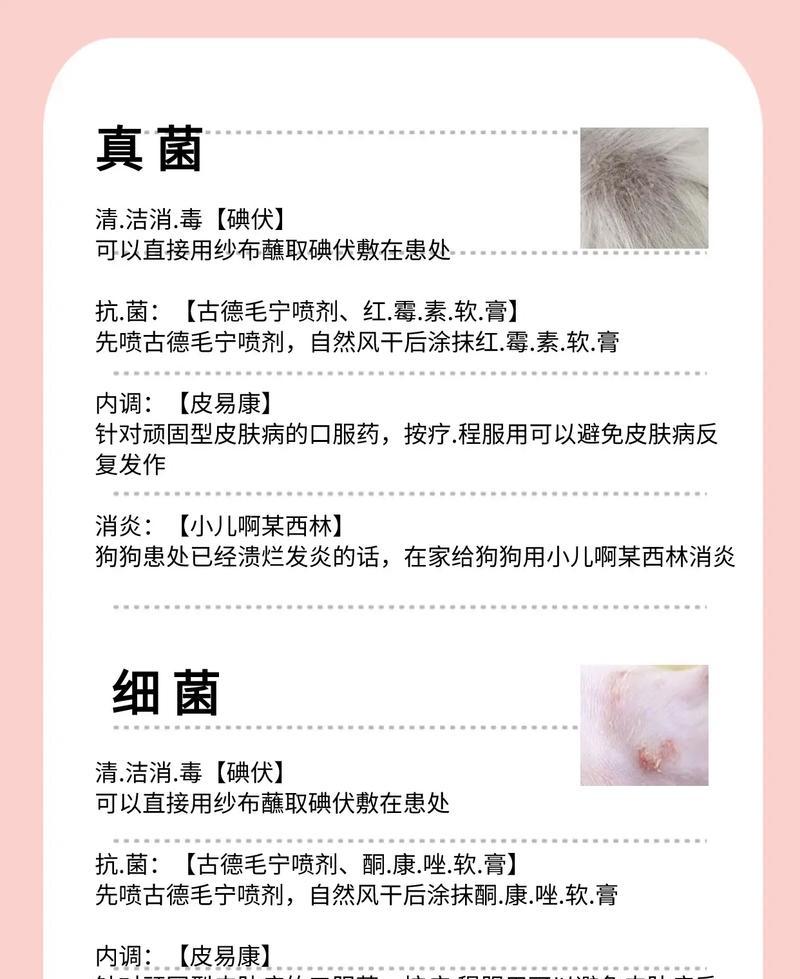 狗得真菌需要多久才能痊愈？（了解狗得真菌的病程和治疗时间，帮助宠物重获健康）