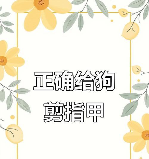 狗狗指甲修剪的最佳时间（多久修剪一次？养护你的宠物需要注意的细节）