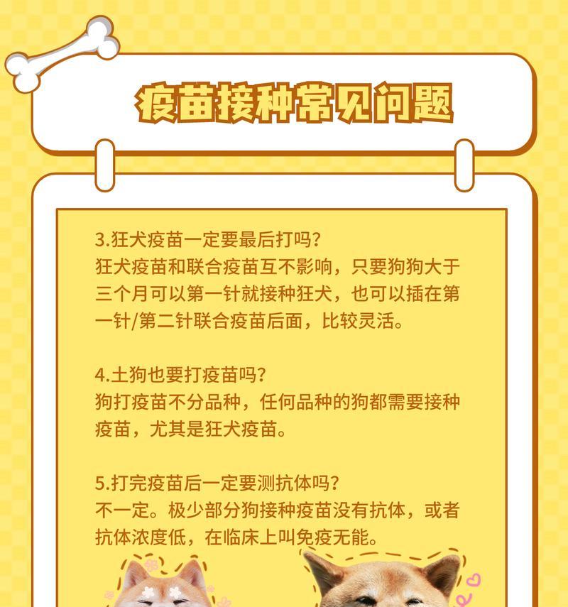 狗的疫苗接种时间表（了解狗疫苗接种的最佳时机）