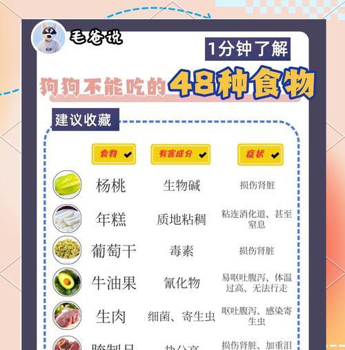 “狗狗生死有命，不能乱喂！盘点10种致命食物”（保护狗狗健康与生命安全的关键饲养常识）
