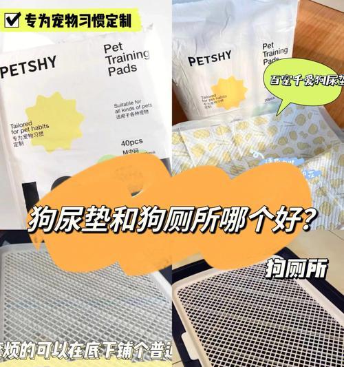 狗狗的排泄频率和习惯（揭秘狗狗拉屎拉尿的规律与训练技巧）