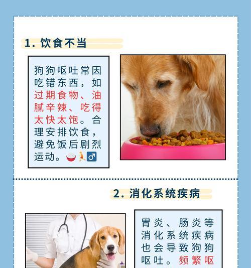 解析狗吐白沫的七种情况及原因（狗吐白沫的病因分析和治疗方法）