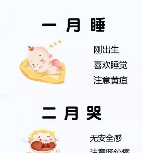小狗出生多久长牙（探索小狗牙齿生长的时间轴和注意事项）