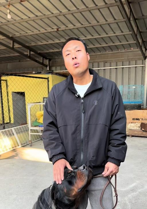 以罗威纳交配多久才生（罗威纳犬繁殖周期及生产时间解析）